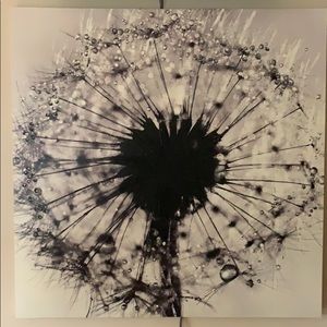 3’ x 3’ canvas purchased from Kirkland’s. Quality.